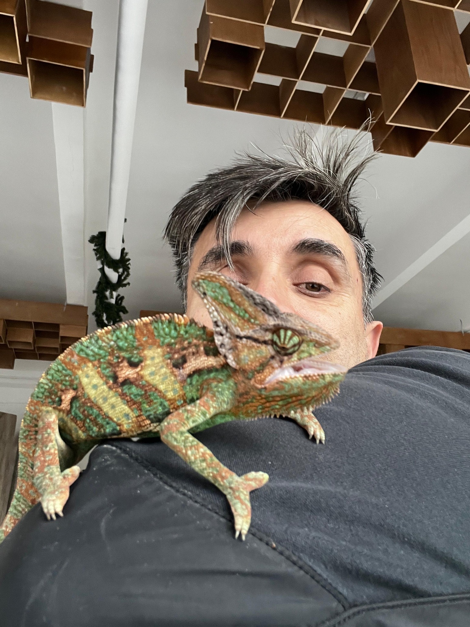 Cameleon pe umărul unui vizitator